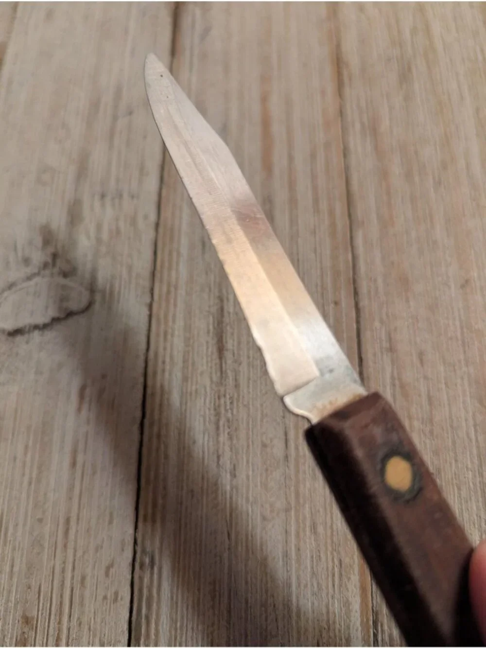 Vintage Stainless Knife Parer Paring Wood Handle 4